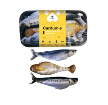 JUGUETE PEZ INTERACTIVO BEEPAW CARDUM-E