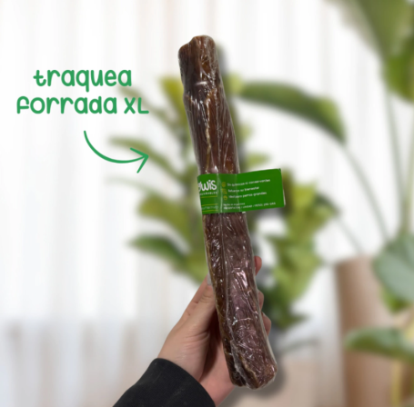 Growis Traquea Forrada XL x unid.